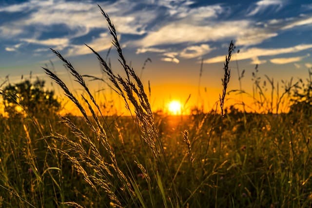 Agricultural Land