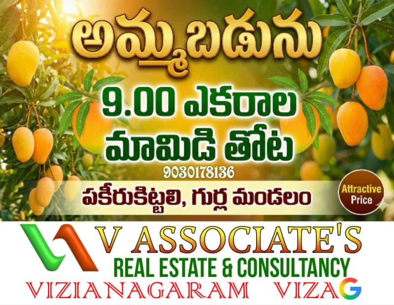 Mango Garden For Sale