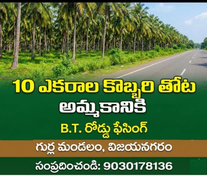 Coconut Garden For Sale